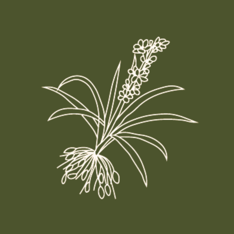 Bird's nest EGF Peptides