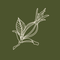 Herb icon