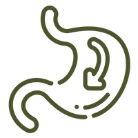 Stimulates Digestion