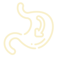 Stimulates Digestion