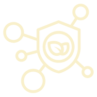 Tonifies Body Center