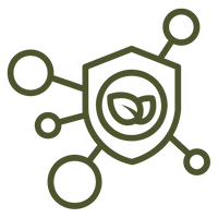 Tonifies Body Center