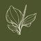 Herb icon